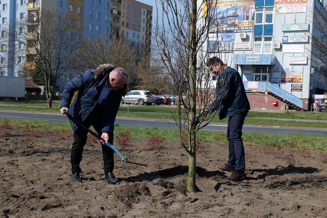 Stalowa Wola. Zielona rewolucja 