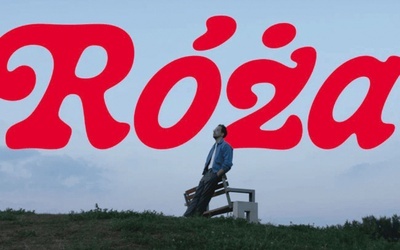 Rozen Róża Fonobo 2024