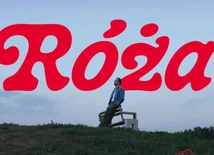 Rozen Róża Fonobo 2024