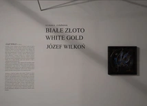 Wystawa "Białe złoto. Józef Wilkoń"