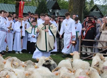 Ludźmierz. Święto Bacowskie z błogosławieństwem stada owiec