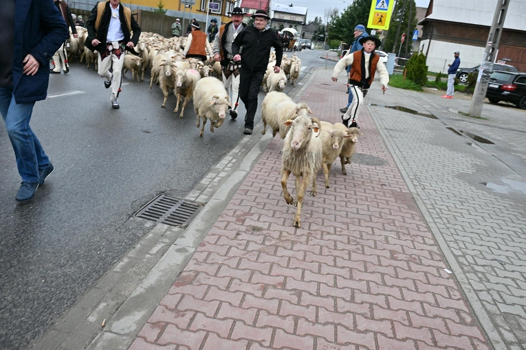 Święto Bacowskie w Ludźmierzu 