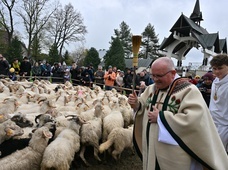 Święto Bacowskie w Ludźmierzu 