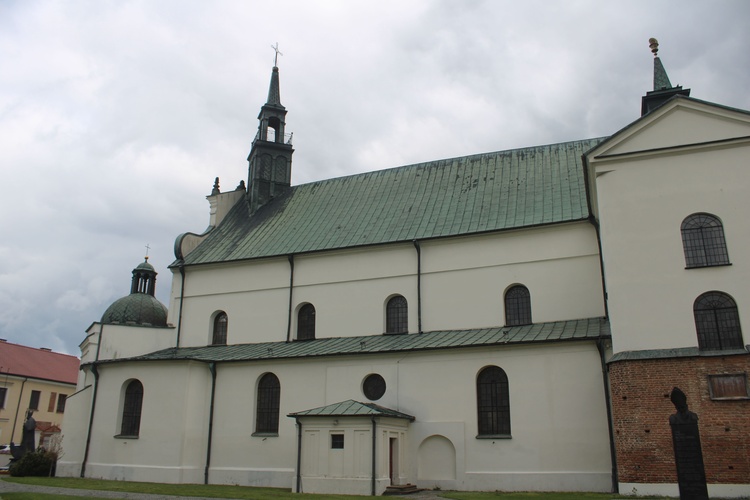 Pułtusk. Bazylika oczami historyków sztuki