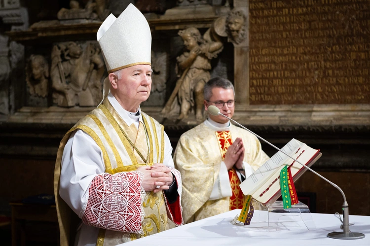 Katedra ma nowych ministrantów