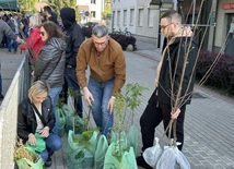 Stalowa Wola. Akcja "Drzewko za makulaturę"