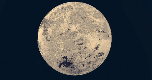 Ranne Ptaszki W pełni Voicemusic 2024  