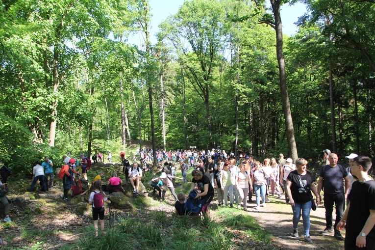 Piesza Pielgrzymka do sanktuarium Matki Bożej Dobrej Rady w Sulistrowiczkach
