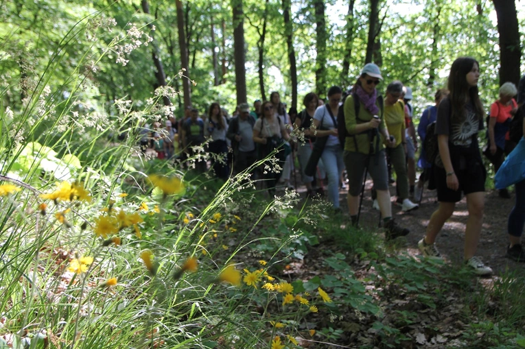 Piesza Pielgrzymka do sanktuarium Matki Bożej Dobrej Rady w Sulistrowiczkach