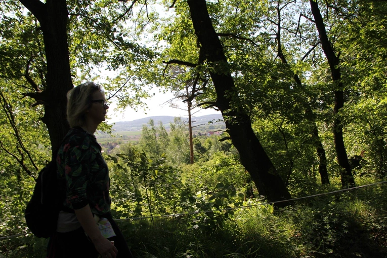 Piesza Pielgrzymka do sanktuarium Matki Bożej Dobrej Rady w Sulistrowiczkach