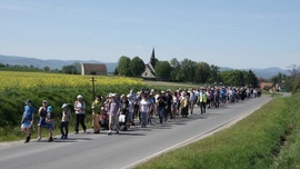 Pielgrzymka prowadziła przez Gogołów, Wiry i Tąpadła. 