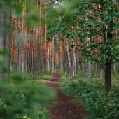 Święta przestrzeń spotkania. Komentarz o. Wojciecha Jędrzejewskiego OP do niedzielnego I czytania