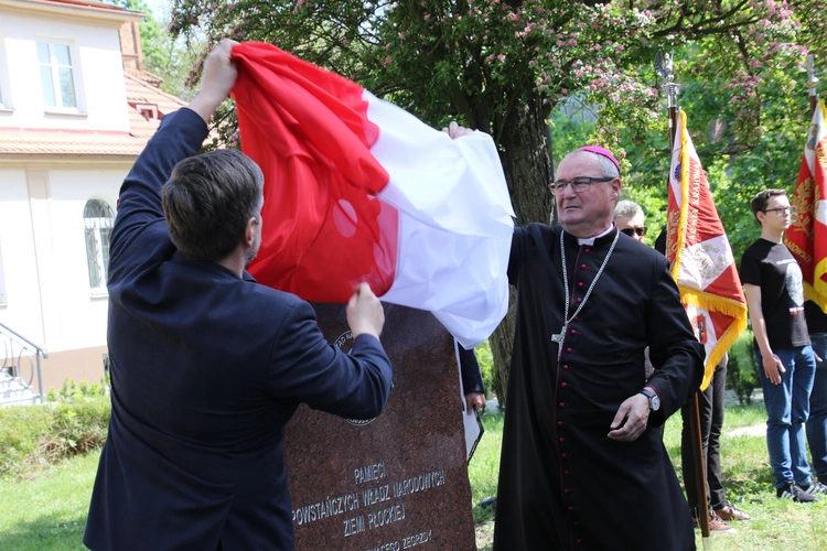 Płock. Pamięci powstańców styczniowych