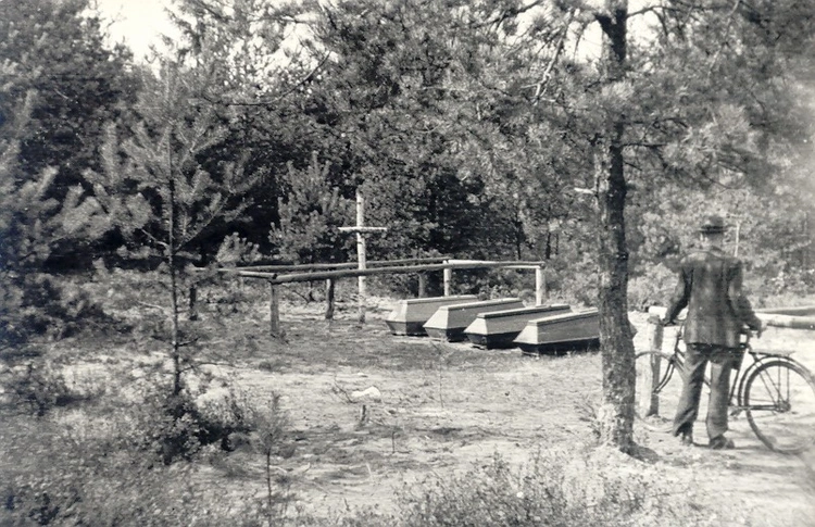 Tajemnice Panewnickich Lasów