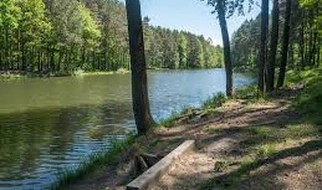 Tajemnice Panewnickich Lasów