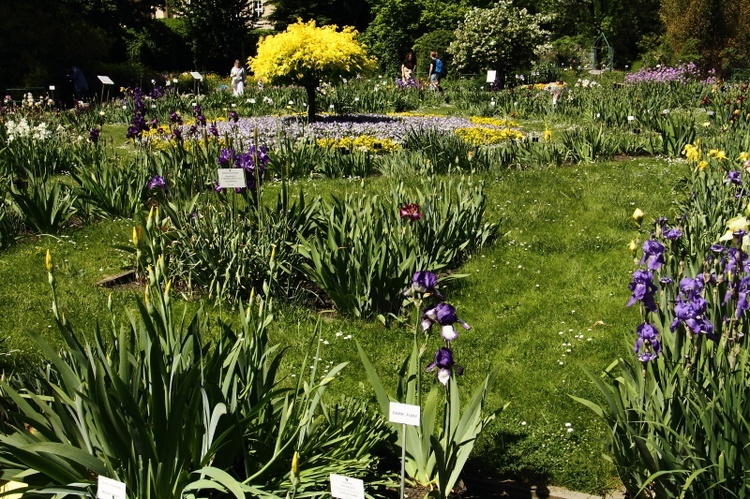 Z wizytą w Ogrodzie Botanicznym UJ