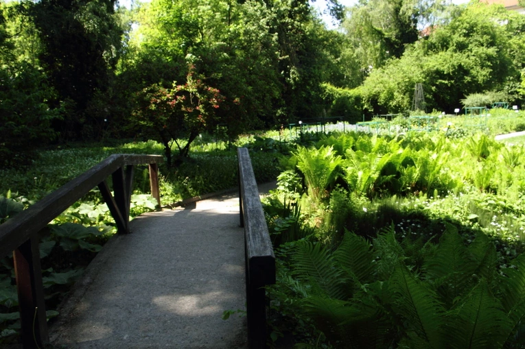Z wizytą w Ogrodzie Botanicznym UJ