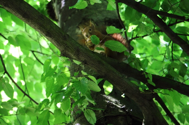Z wizytą w Ogrodzie Botanicznym UJ