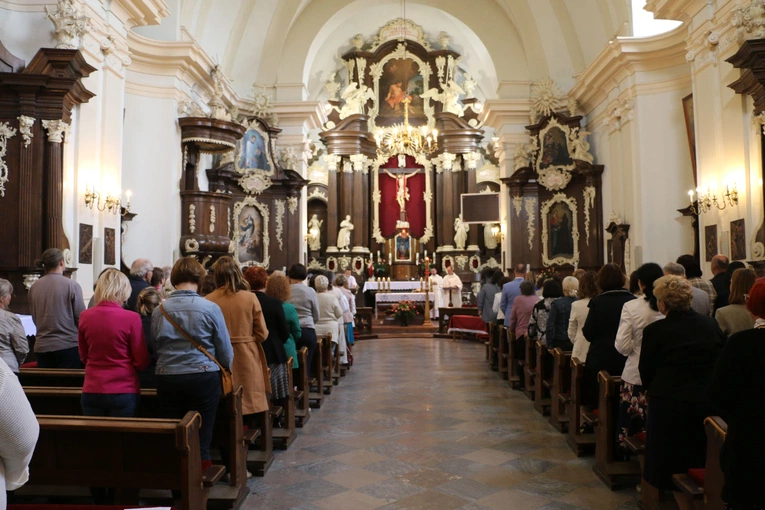 Płock. Nowi lektorzy