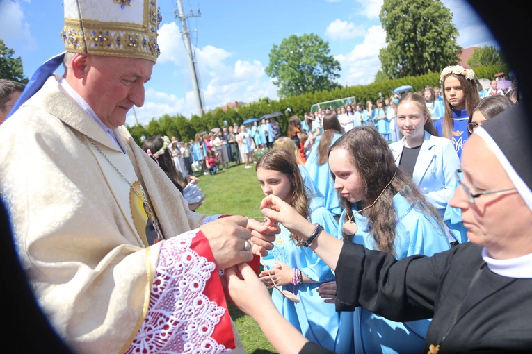 Przyjęcie przewodniczek DSM