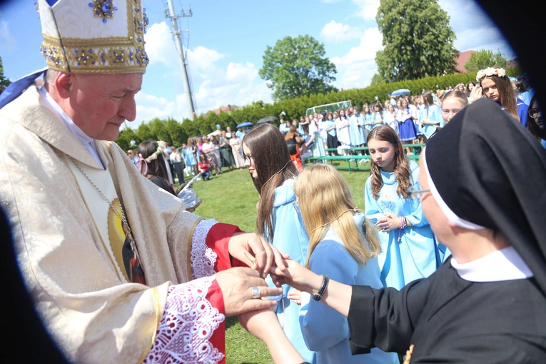 Przyjęcie przewodniczek DSM