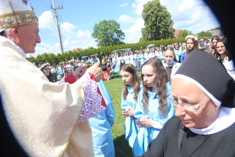 Przyjęcie przewodniczek DSM