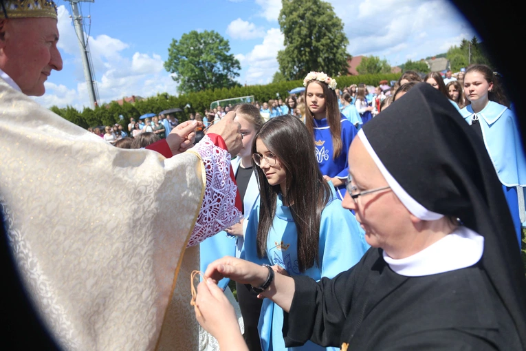 Przyjęcie przewodniczek DSM