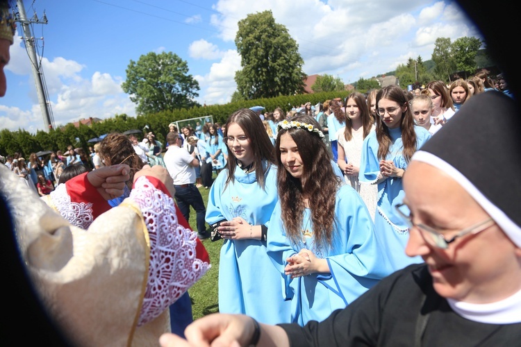 Przyjęcie przewodniczek DSM