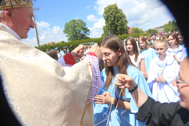 Przyjęcie przewodniczek DSM