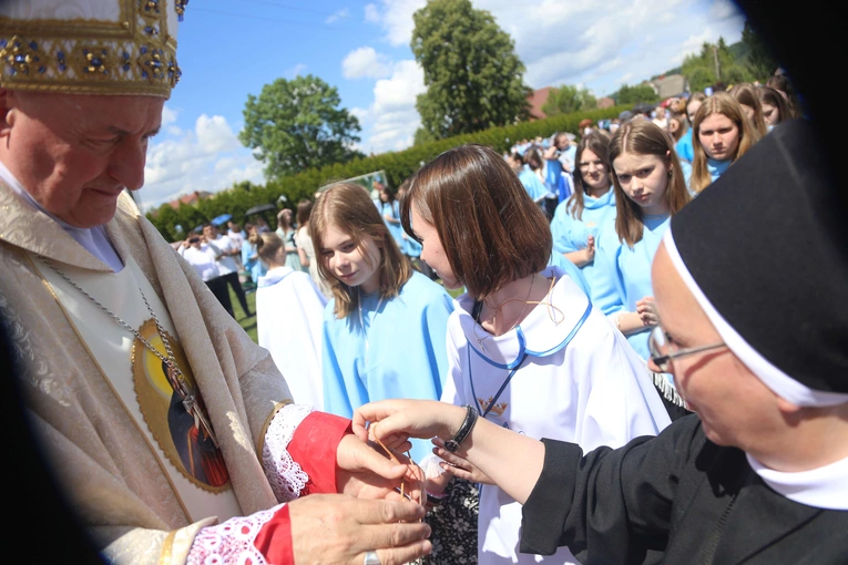 Przyjęcie przewodniczek DSM