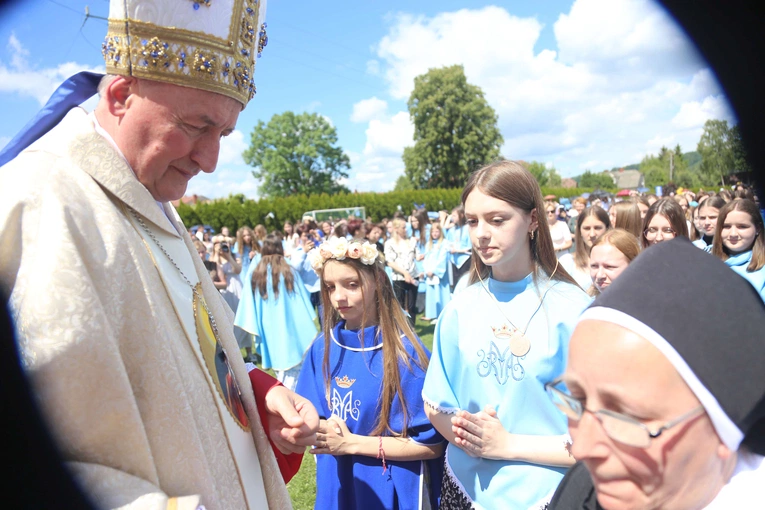 Przyjęcie przewodniczek DSM