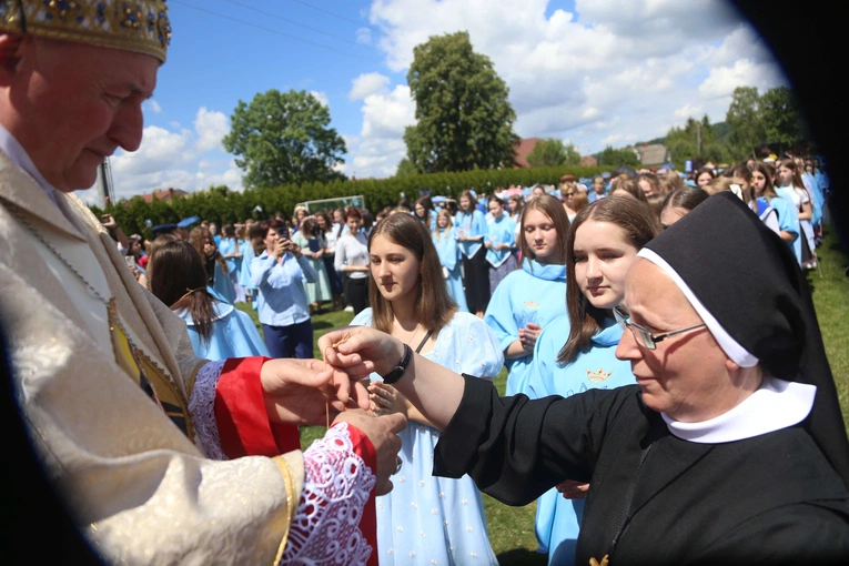 Przyjęcie przewodniczek DSM