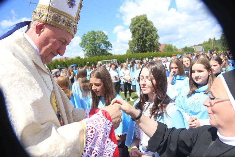 Przyjęcie przewodniczek DSM