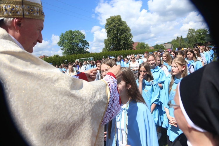 Przyjęcie przewodniczek DSM