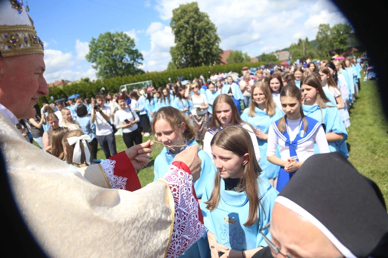 Przyjęcie przewodniczek DSM