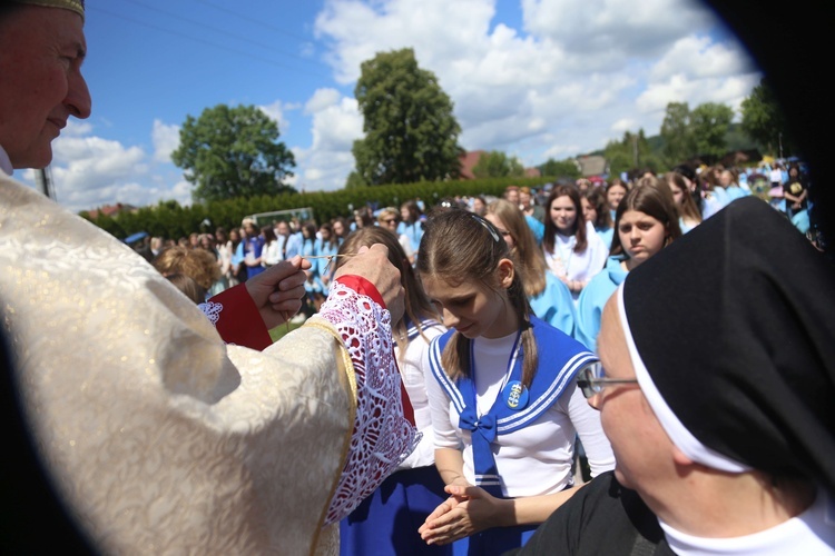 Przyjęcie przewodniczek DSM