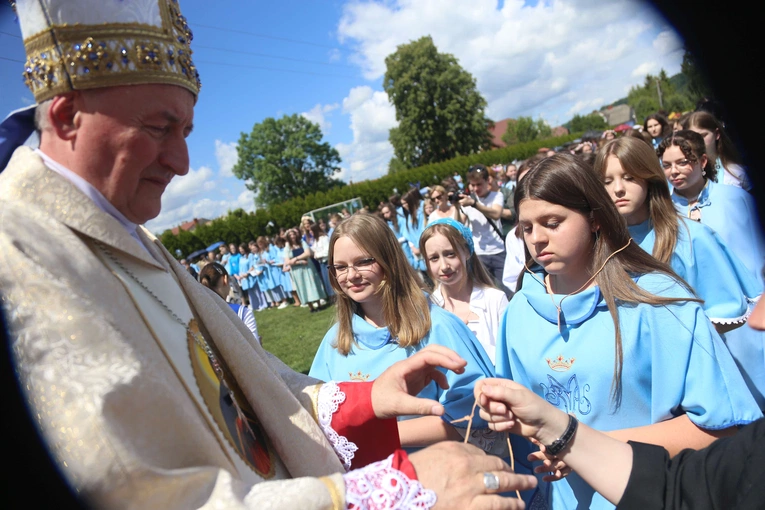 Przyjęcie przewodniczek DSM