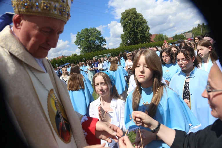 Przyjęcie przewodniczek DSM