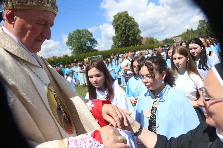 Przyjęcie przewodniczek DSM