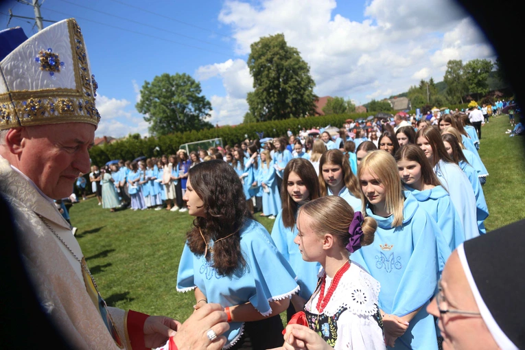 Przyjęcie przewodniczek DSM