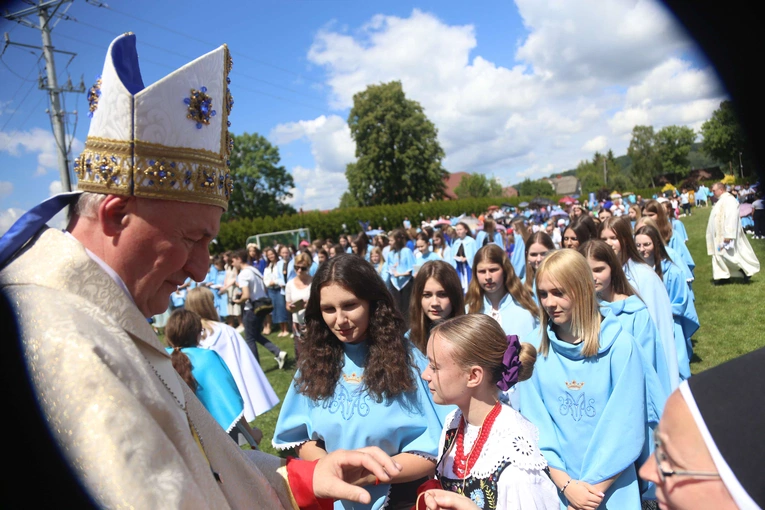 Przyjęcie przewodniczek DSM