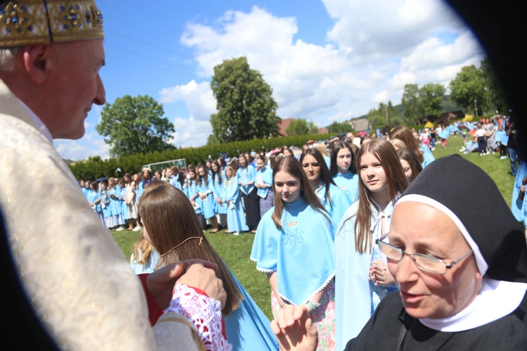 Przyjęcie przewodniczek DSM