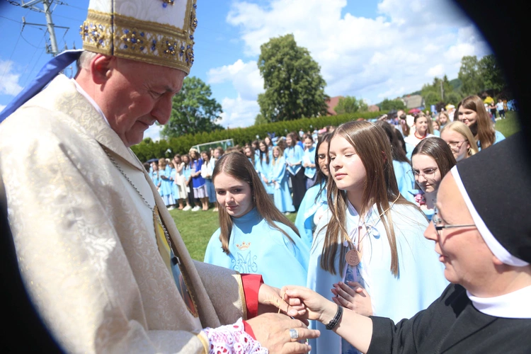 Przyjęcie przewodniczek DSM