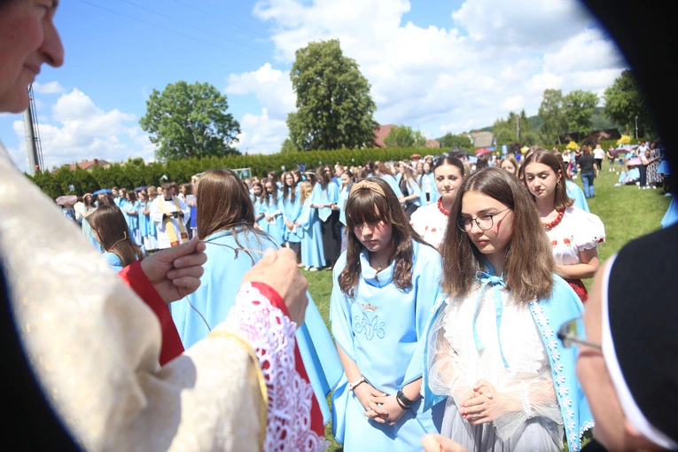 Przyjęcie przewodniczek DSM