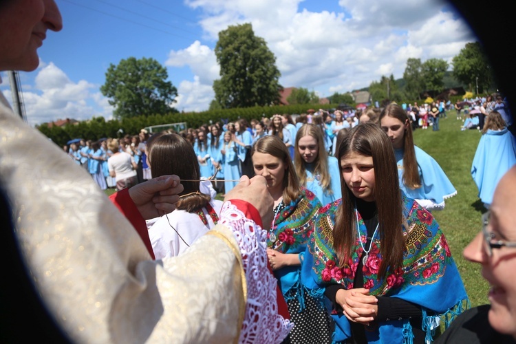 Przyjęcie przewodniczek DSM