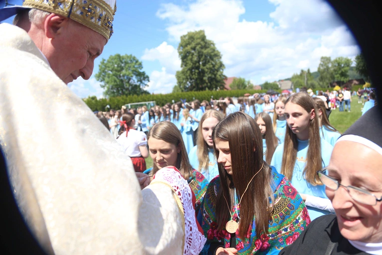 Przyjęcie przewodniczek DSM