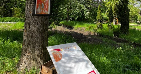 W Babimoście powstaje ogród maryjny i każdy z nas może pomóc w jego tworzeniu