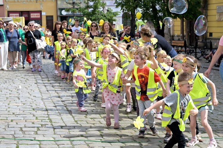 Marsz Nadziei w Świdnicy