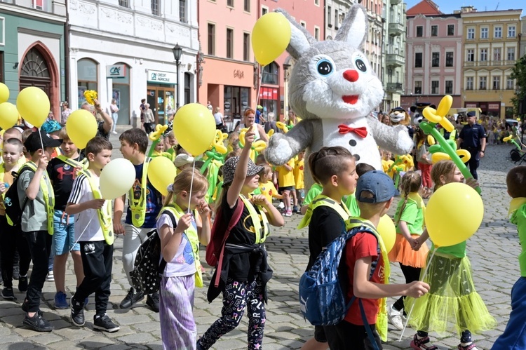 Marsz Nadziei w Świdnicy