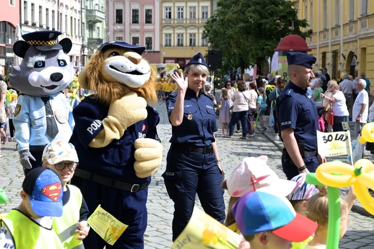 Marsz Nadziei w Świdnicy